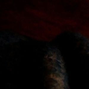 Meet your Posher, Frank